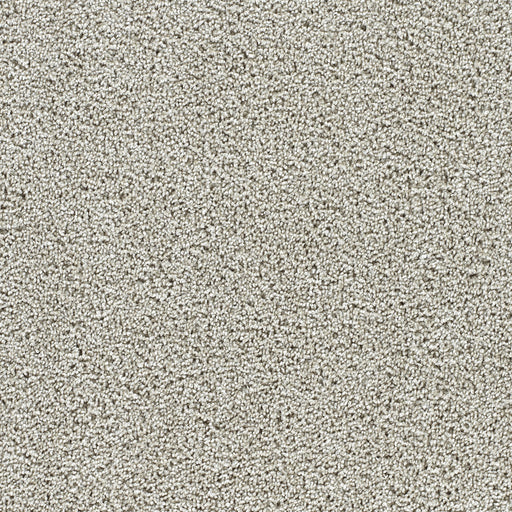 Captivating II Polyester August Grove 2871 Carpet Textured 1