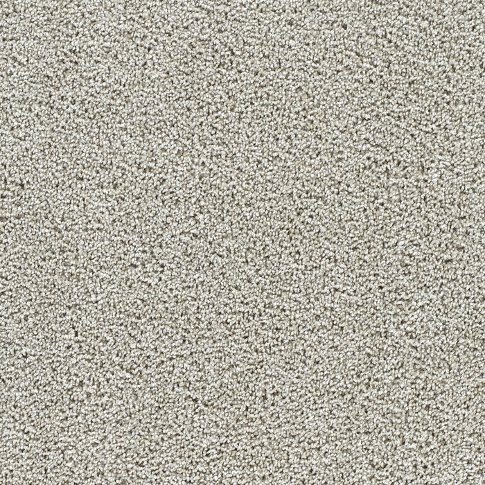 Captivating III Polyester August Grove 2871 Carpet Textured 1