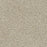 Captivating I Polyester Peanut Brittle 2880 Carpet Textured 1