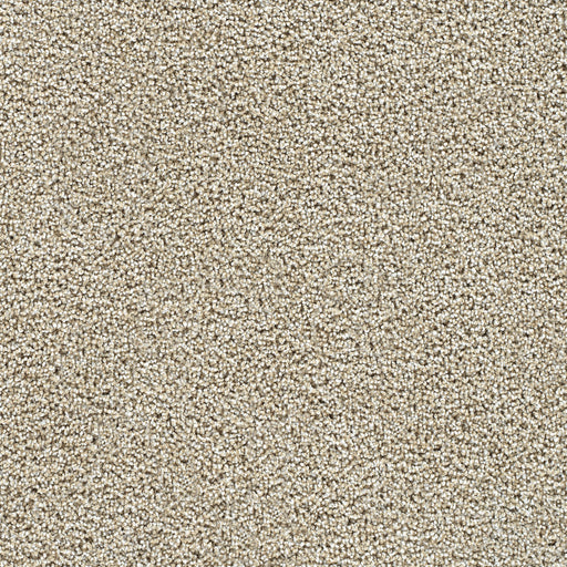 Captivating II Polyester Peanut Brittle 2880 Carpet Textured 1
