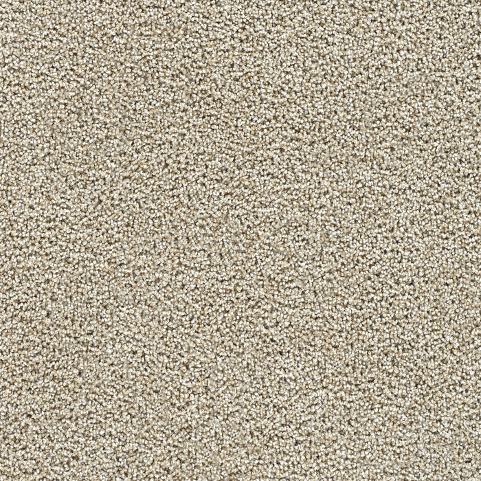 Captivating III Polyester Peanut Brittle 2880 Carpet Textured 1