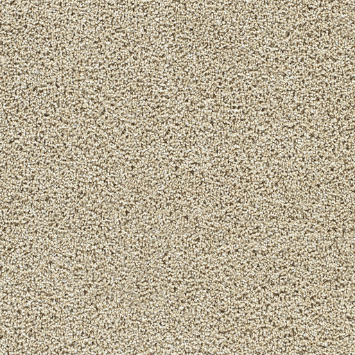 Captivating II Polyester Sunflower 2947 Carpet Textured 1