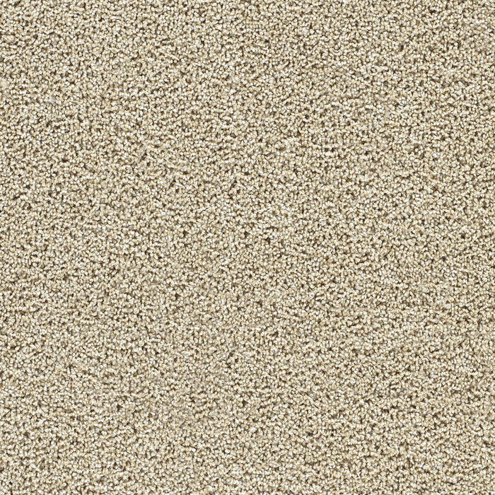 Captivating III Polyester Sunflower 2947 Carpet Textured 1