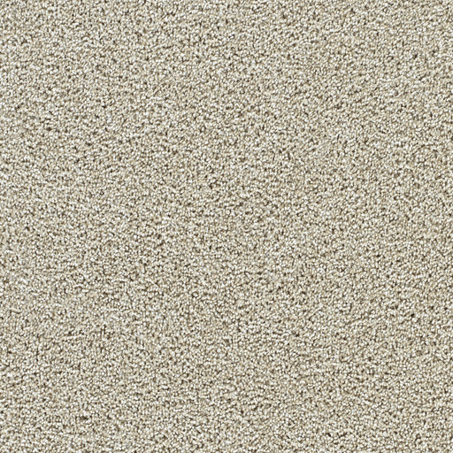 Captivating II Polyester Wheat Grass 4181 Carpet Textured 1
