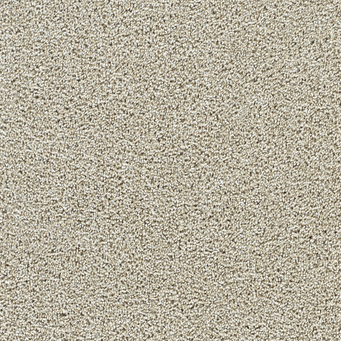 Captivating III Polyester Wheat Grass 4181 Carpet Textured 1