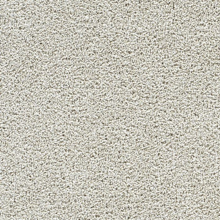 Captivating I Polyester Peaceful 4262 Carpet Textured 1