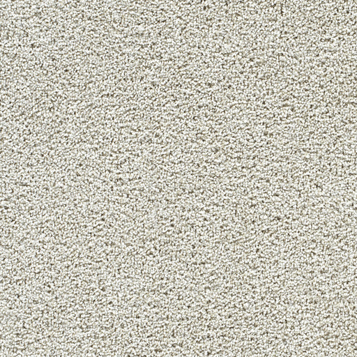 Captivating II Polyester Peaceful 4262 Carpet Textured 1