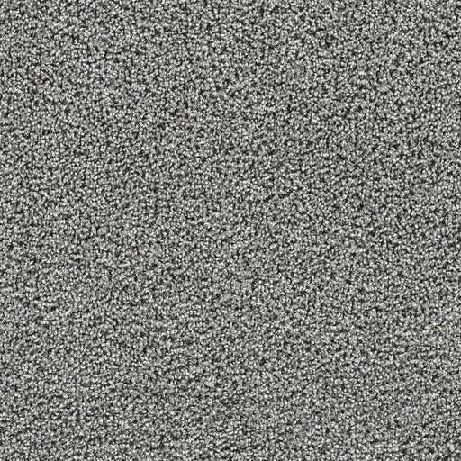 Captivating II Polyester Beach Lava 4272 Carpet Textured 1