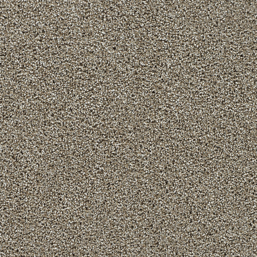 Captivating II Polyester Rich Walnut 4350 Carpet Textured 1