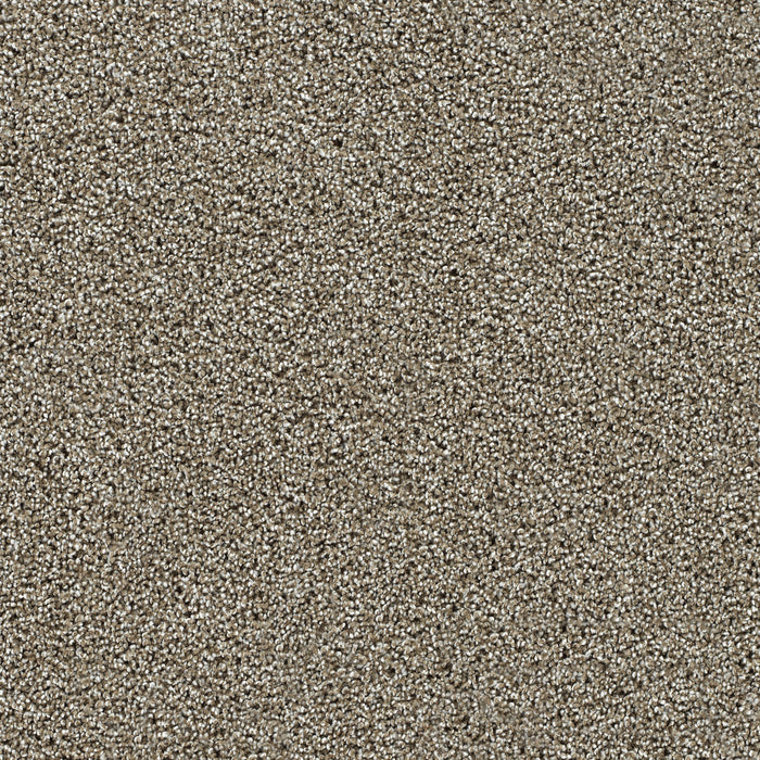Captivating II Polyester Rich Walnut 4350 Carpet Textured 1