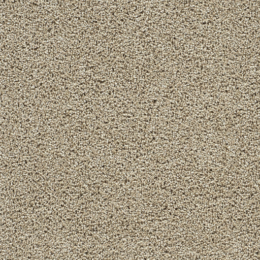 Captivating II Polyester Fall Brook 4446 Carpet Textured 1