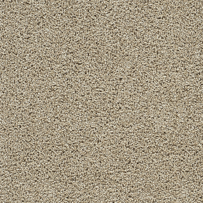 Captivating I Polyester Fall Brook 4446 Carpet Textured 1
