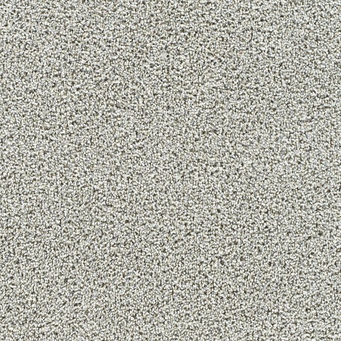 Captivating I Polyester Cherish 4468 Carpet Textured 1