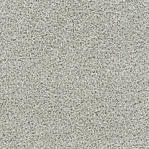 Captivating II Polyester Cherish 4468 Carpet Textured 1