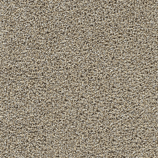Captivating II Polyester Pine Log 4526 Carpet Textured 1