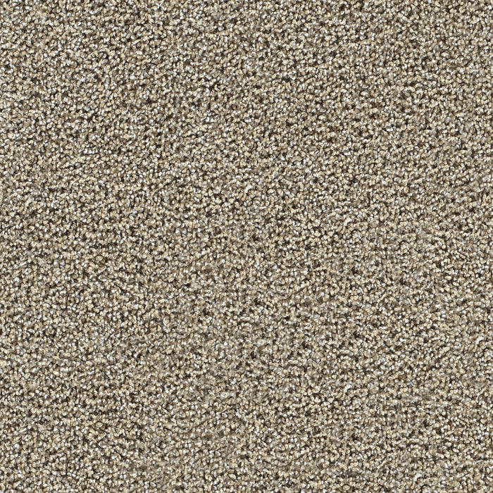 Captivating III Polyester Pine Log 4526 Carpet Textured 1