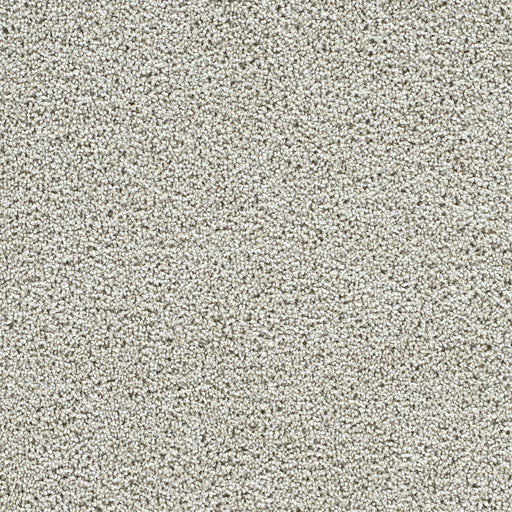 Captivating II Polyester Butterscotch 4590 Carpet Textured 1