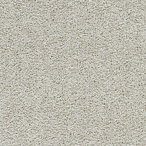 Captivating II Polyester Anaheim 4595 Carpet Textured 1