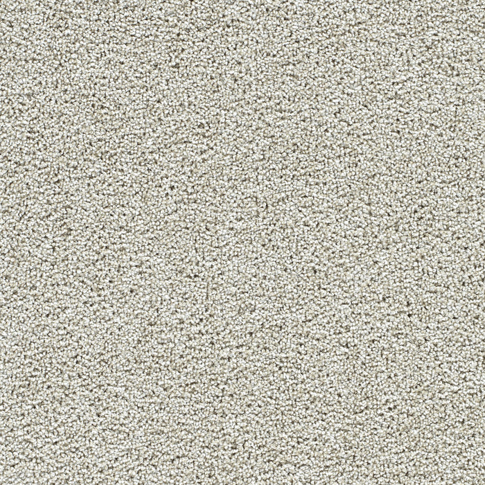 Captivating II Polyester Anaheim 4595 Carpet Textured 1