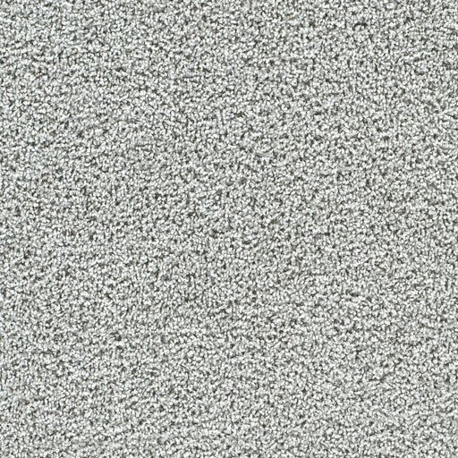 Captivating II Polyester Misty Breeze 4601 Carpet Textured 1