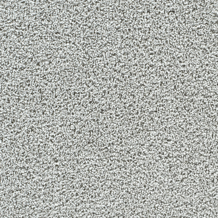 Captivating I Polyester Misty Breeze 4601 Carpet Textured 1