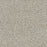 Captivating II Polyester Iron Gate 785 Carpet Textured 1