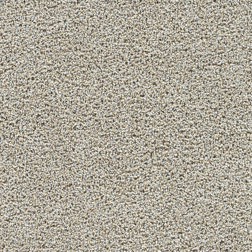 Captivating II Polyester Iron Gate 785 Carpet Textured 1
