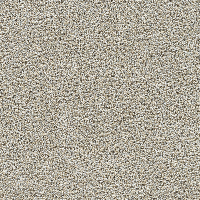 Captivating II Polyester Iron Gate 785 Carpet Textured 1