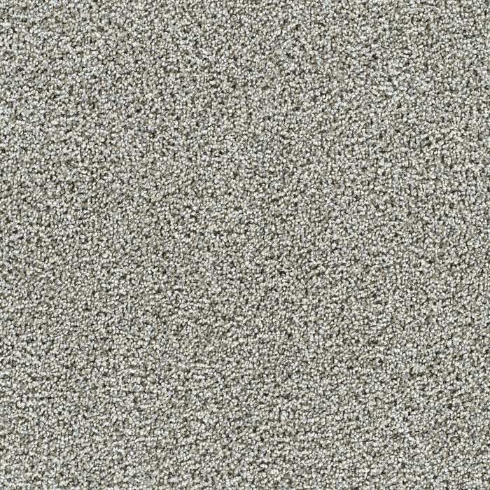 Captivating III Polyester Gravel Stone 790 Carpet Textured 1