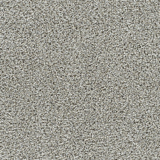 Captivating II Polyester Gravel Stone 790 Carpet Textured 1