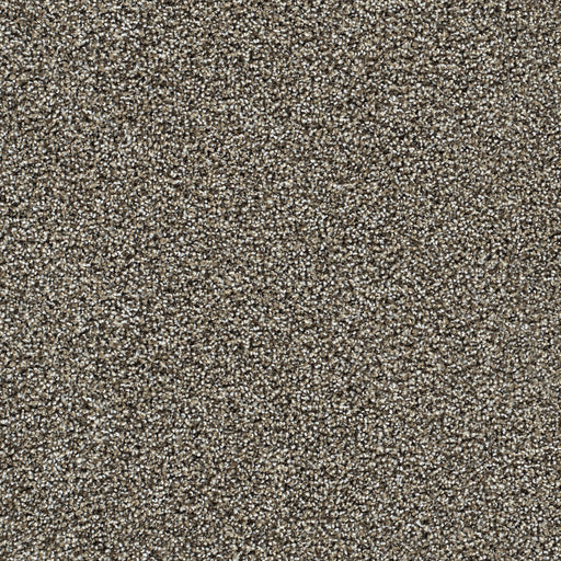 Captivating II Polyester Dark Truffle 834 Carpet Textured 1