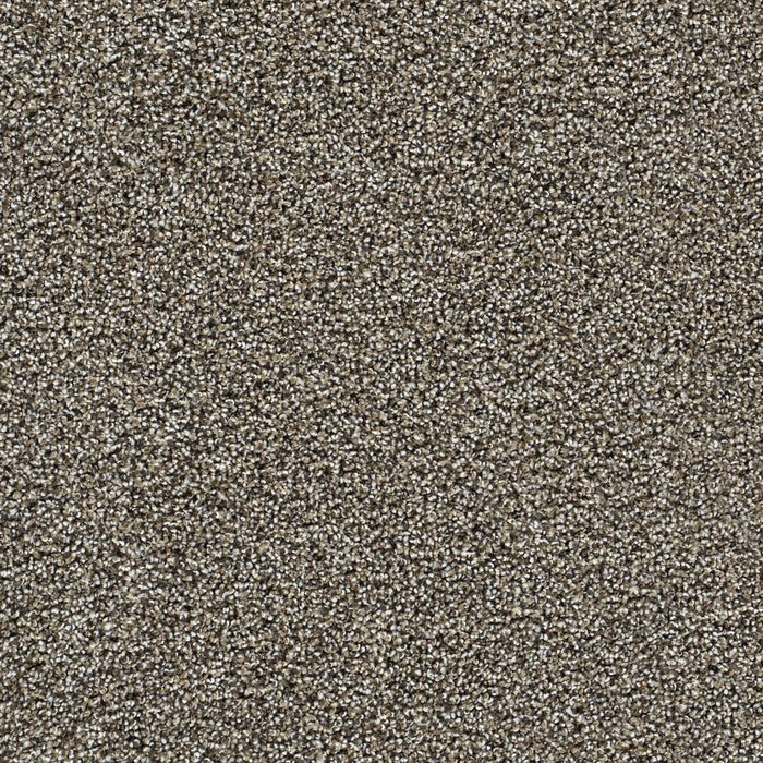 Captivating III Polyester Dark Truffle 834 Carpet Textured 1