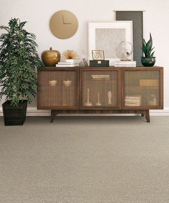 Captivating II Polyester Sunflower 2947 Carpet Textured 2