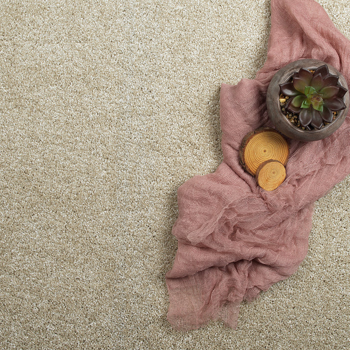 Captivating III Polyester Wheat Grass 4181 Carpet Textured 3