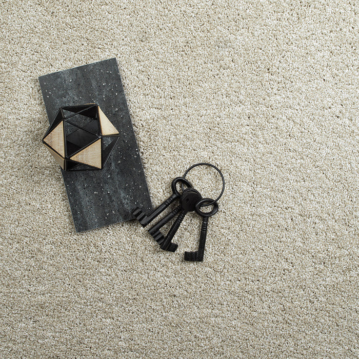 Captivating III Polyester Anaheim 4595 Carpet Textured 3