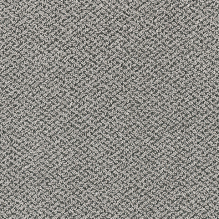Crete Polyester Palladium 2066 Carpet Loop 1