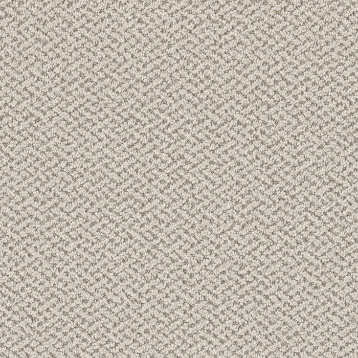 Crete Polyester Iconic 2792 Carpet Loop 1