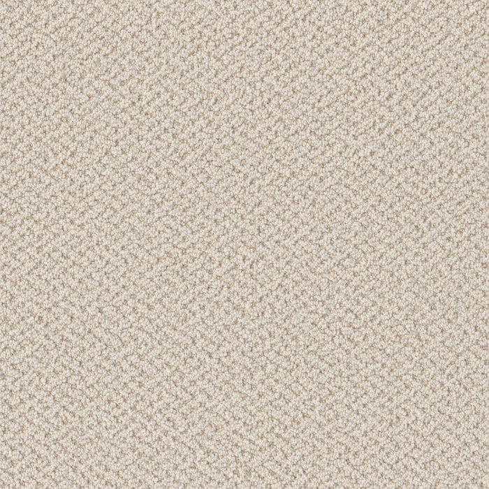 Crete Polyester Magnificent 2872 Carpet Loop 1