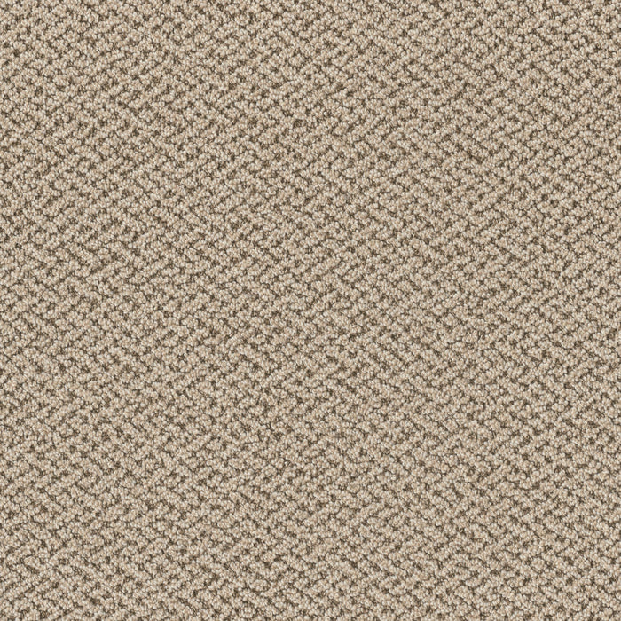 Crete Polyester Venice 2928 Carpet Loop 1