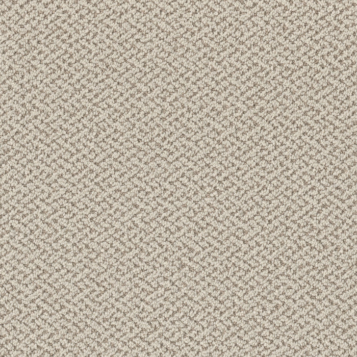Crete Polyester Spartis 4100 Carpet Loop 1