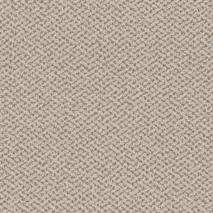 Crete Polyester Capri 4127 Carpet Loop 1
