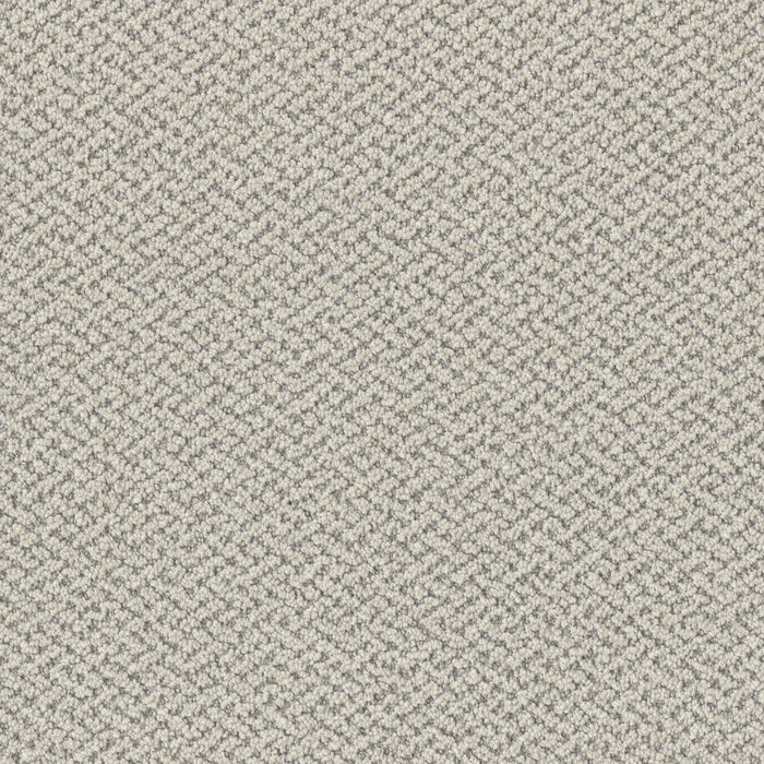Crete Polyester Nautilus 4328 Carpet Loop 1