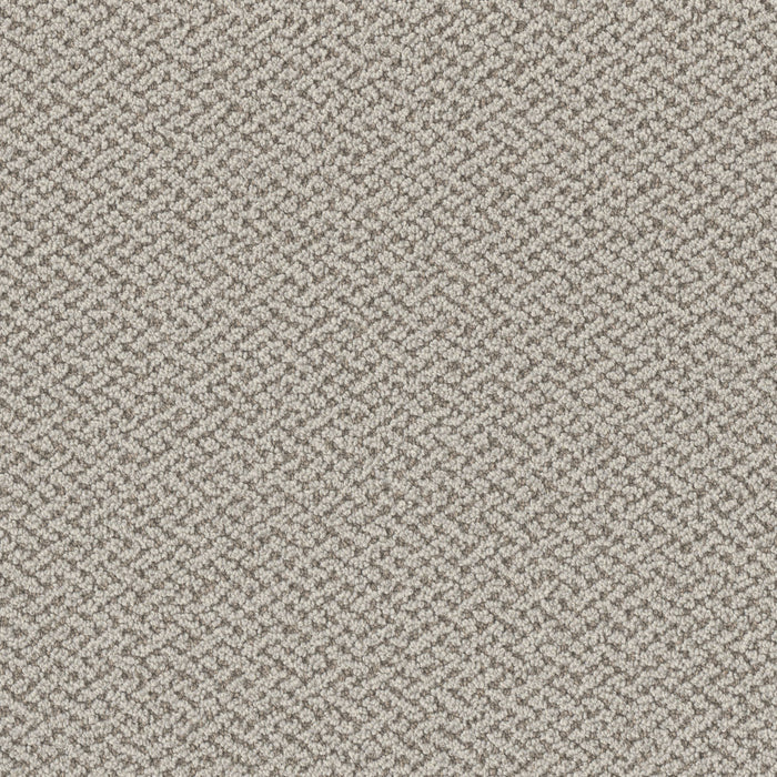 Crete Polyester Paradise 4529 Carpet Loop 1