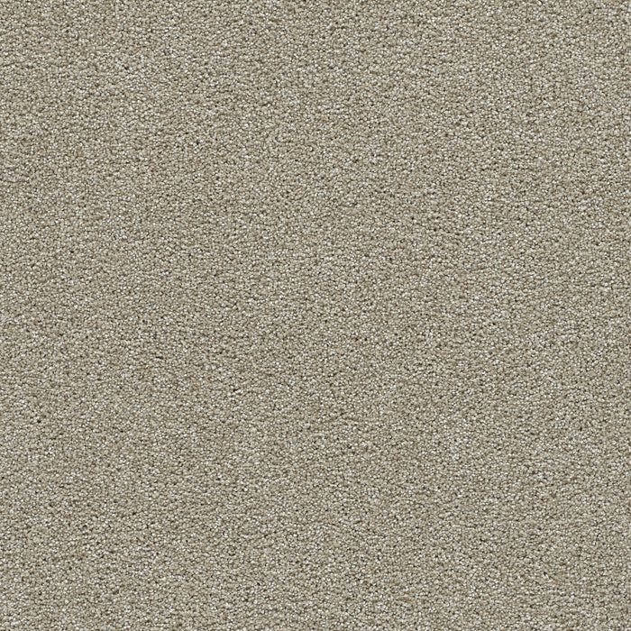 Clearwater III Polyester Wonder 2524 Carpet Textured 1