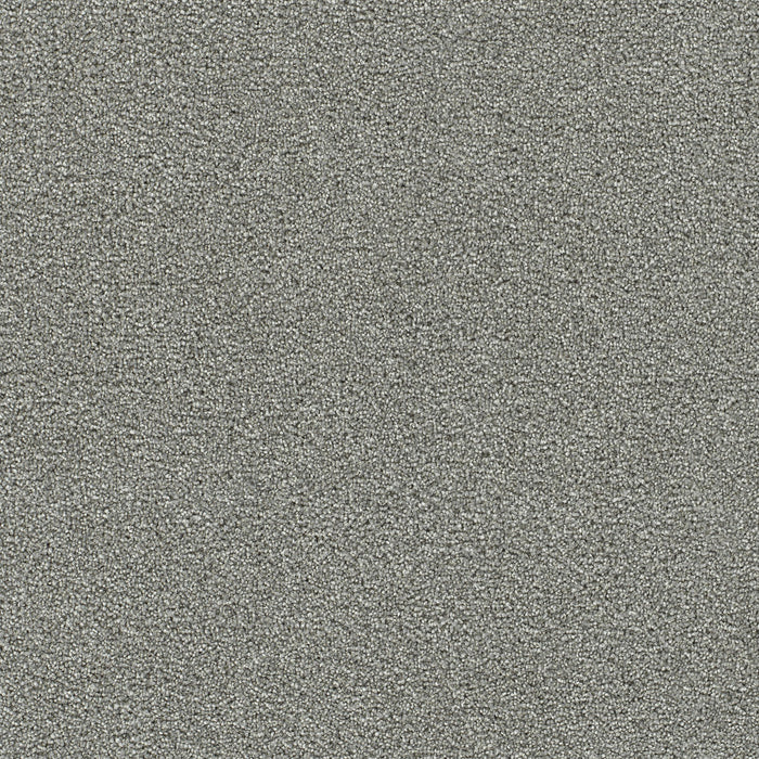 Clearwater I Polyester Chilly Night 2776 Carpet Textured 1