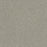 Clearwater I Polyester August Grove 2871 Carpet Textured 1