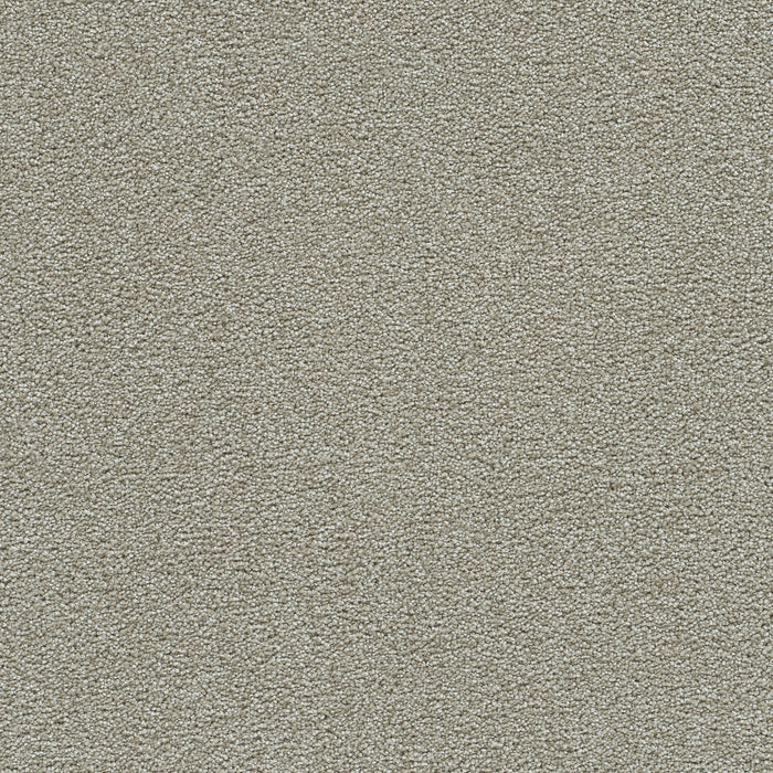 Clearwater II Polyester August Grove 2871 Carpet Textured 1