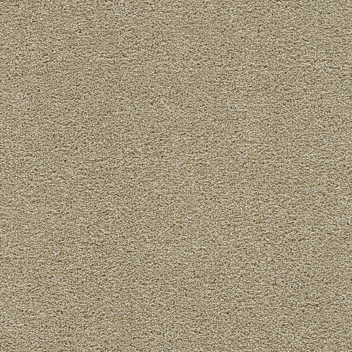 Clearwater III Polyester Sunflower 2947 Carpet Textured 1