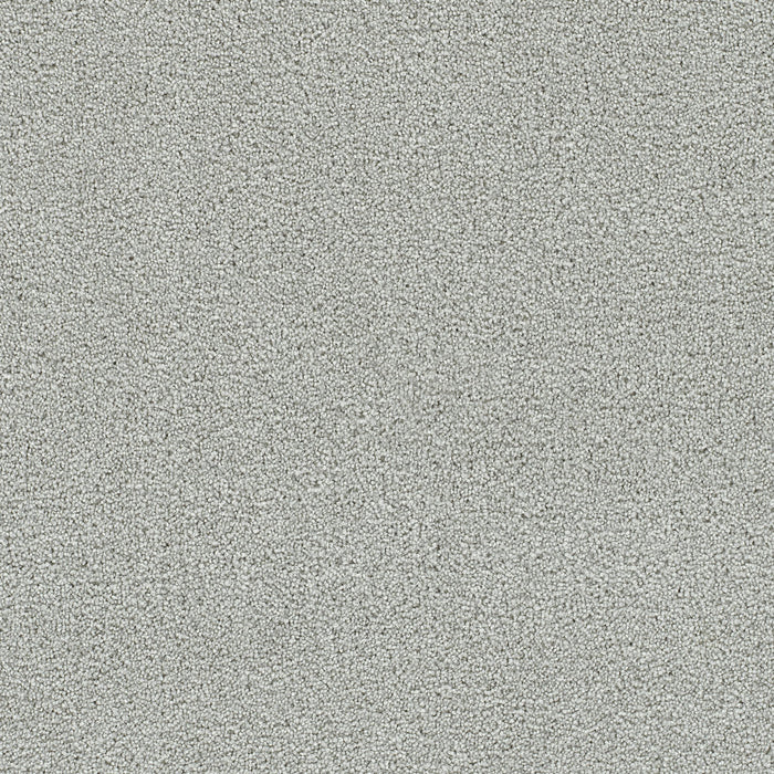 Clearwater III Polyester Milestone 4048 Carpet Textured 1