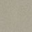 Clearwater III Polyester Wheat Grass 4181 Carpet Textured 1